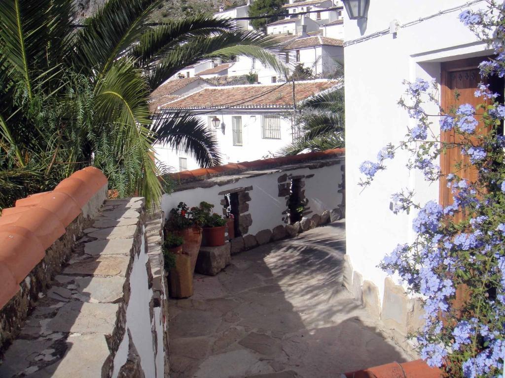 Apartamentos Buganvilla Villaluenga Del Rosario Pokoj fotografie