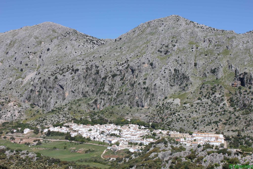 Apartamentos Buganvilla Villaluenga Del Rosario Exteriér fotografie